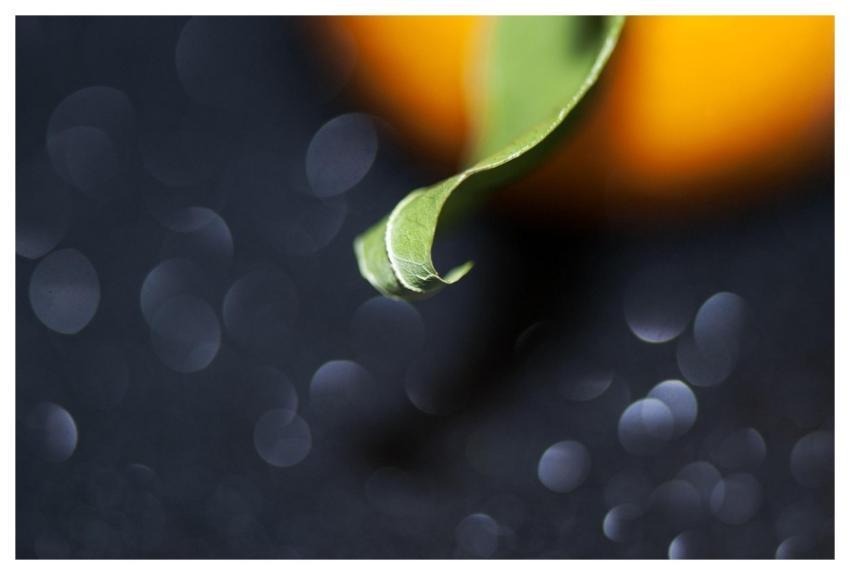 Leave Green Tangerine Fruit