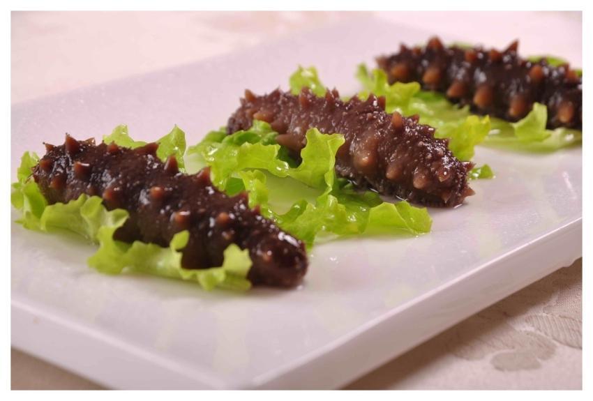 Sea Cucumber Keep In Good Health Gourmet Hot Pot
