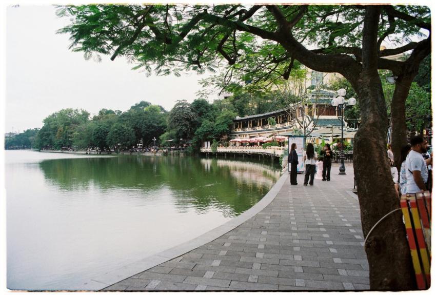Peaceful Lakeside Promenade Greenery
