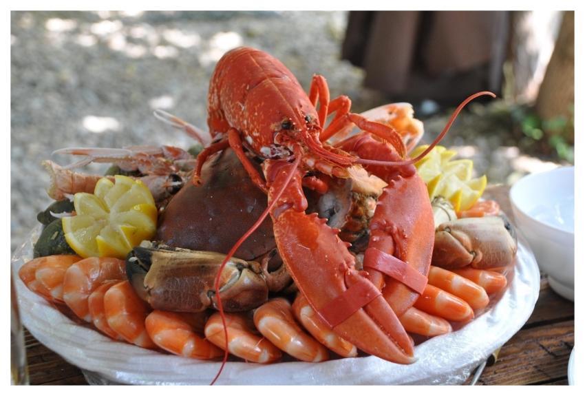 Seafood Platter Shellfish Food Sea Food