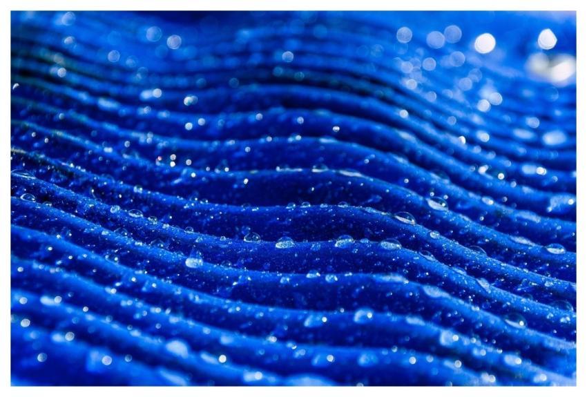 Drops Water Surface Nature