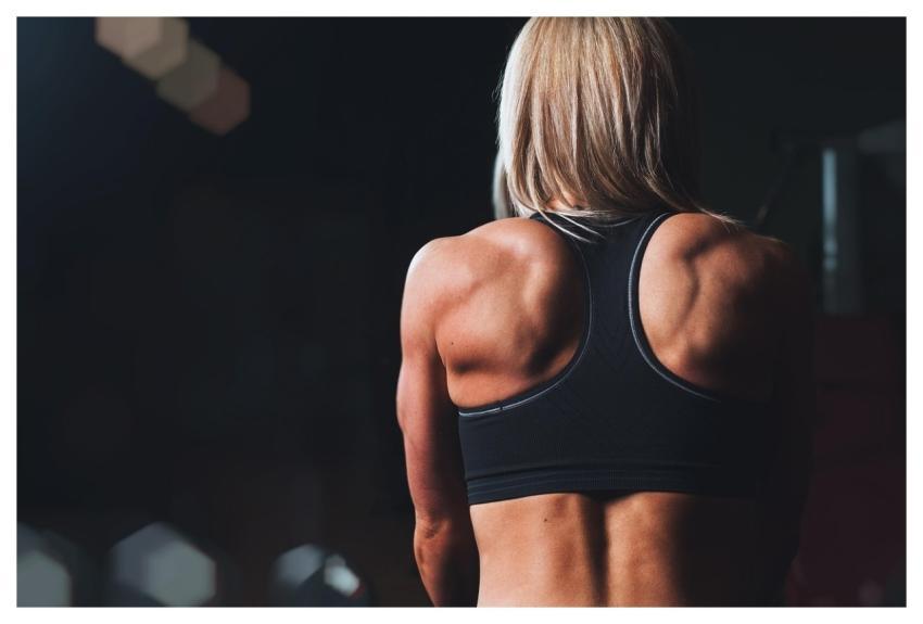 Training Rmuscles Back Shoulders