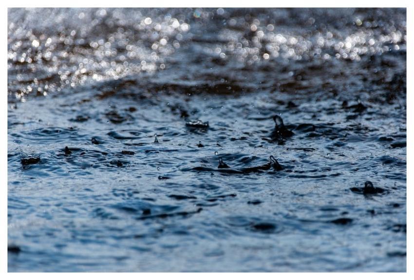 Water Drops Rain Waves