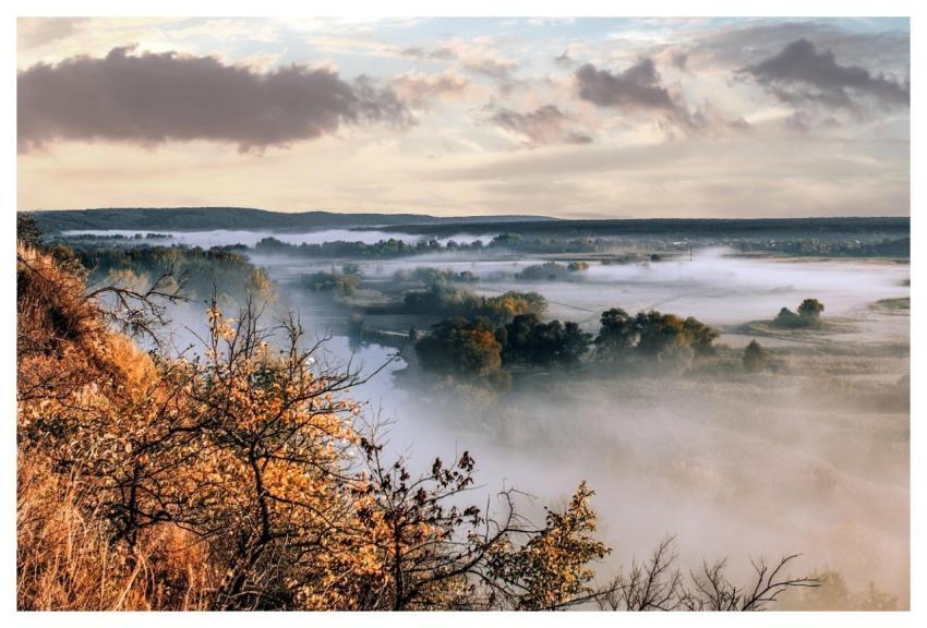 Nature Autumn Fog Trees