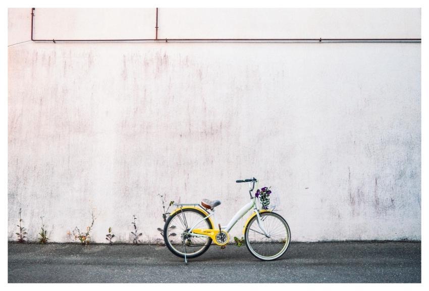 Bike Flower Wallpaper Flower Background Bicycle