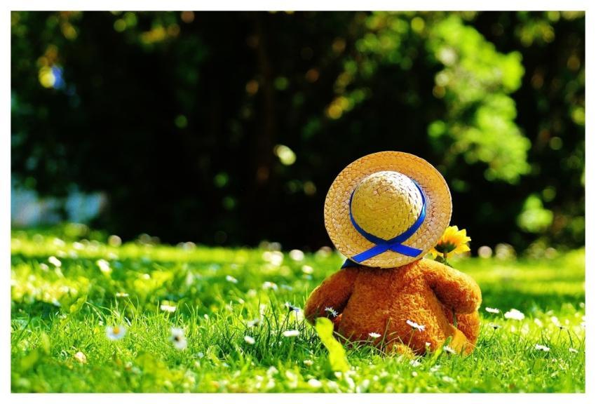 Teddy Bear Bear Little Bear Stuffed Animal