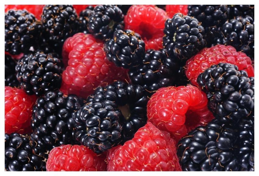 Raspberries And Blackberries Forest Fruits Closeup