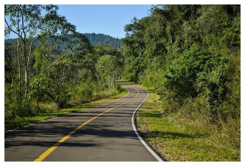 Road Nature Travel Exploration