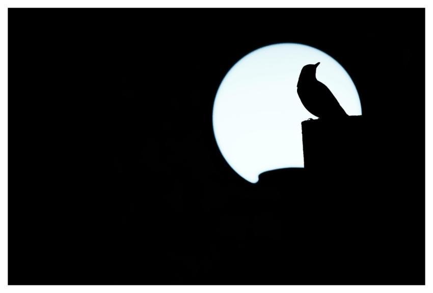 Some People Don't Satellite Astronomy People