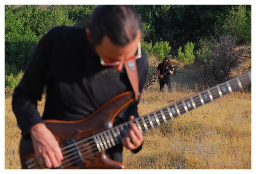 Musician Bassist Guitar Player Performer