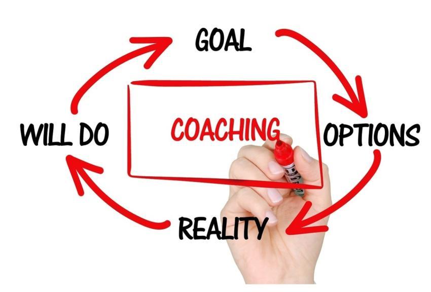 Coaching Training Mentoring Business