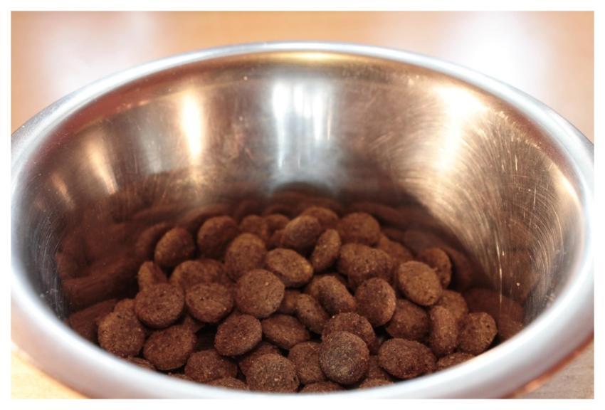 Food Bowl Fressnapf Dog Food Dried Animal Food