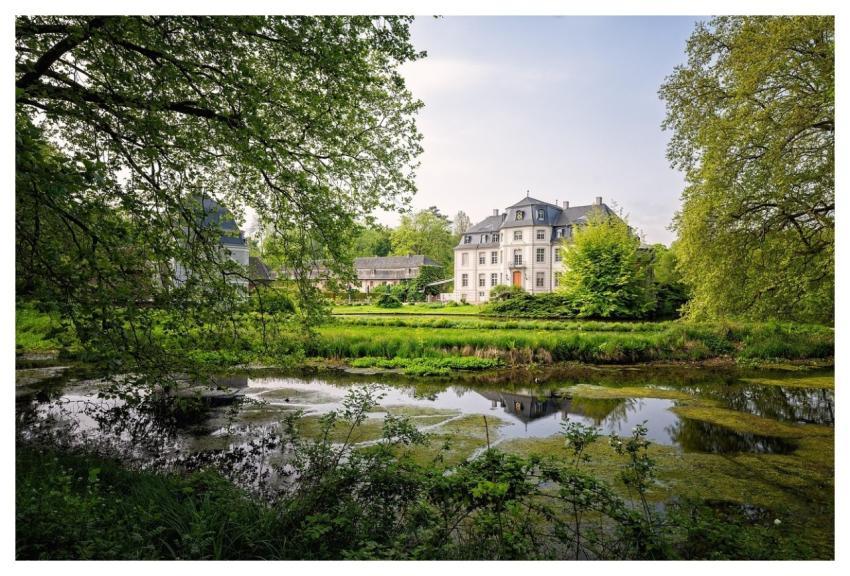Castle Park Wetland Swamp