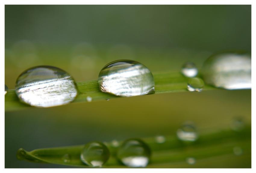 Raindrop Waterdrop Beautiful Nature Dewdrop