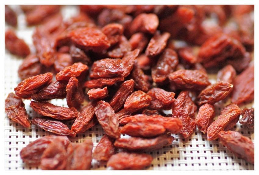 Goji Berry Dried Fruits