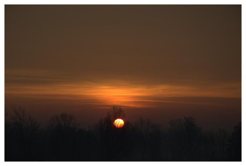 Nature Landscape Dawn Fog