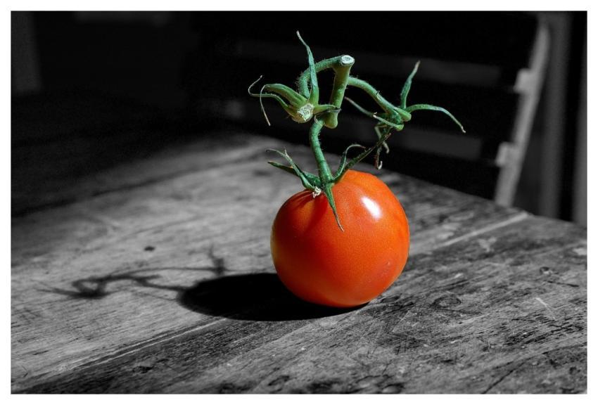Tomato Fruit Nature Vegetable