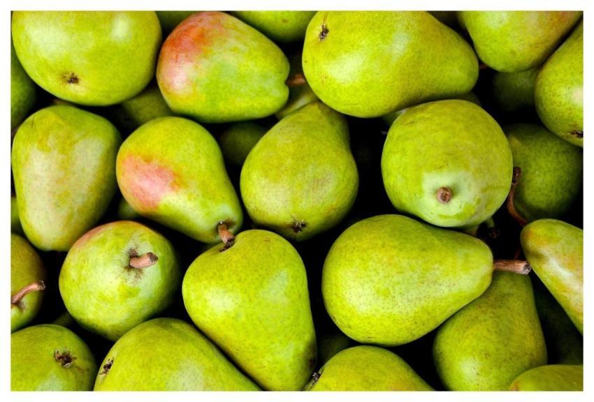 Fruits Pears Green Fresh