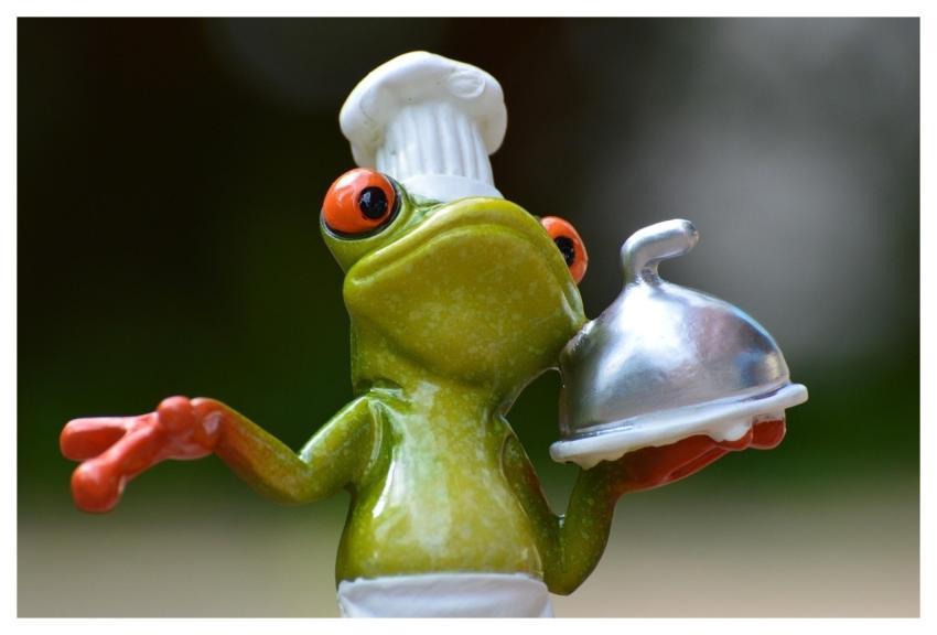 Frog Cook Meal Kitchen