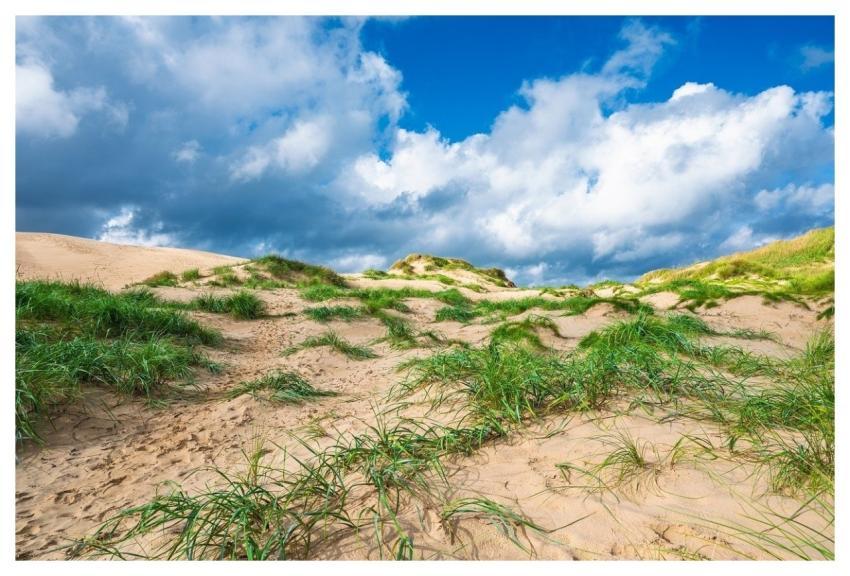 Dune Sand Desert Nature