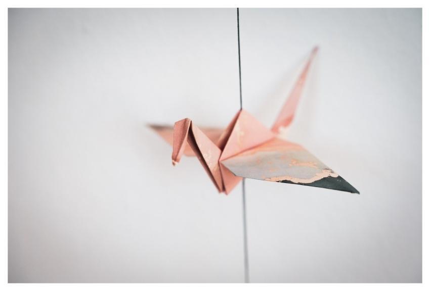 Origami Paper Crane Folds