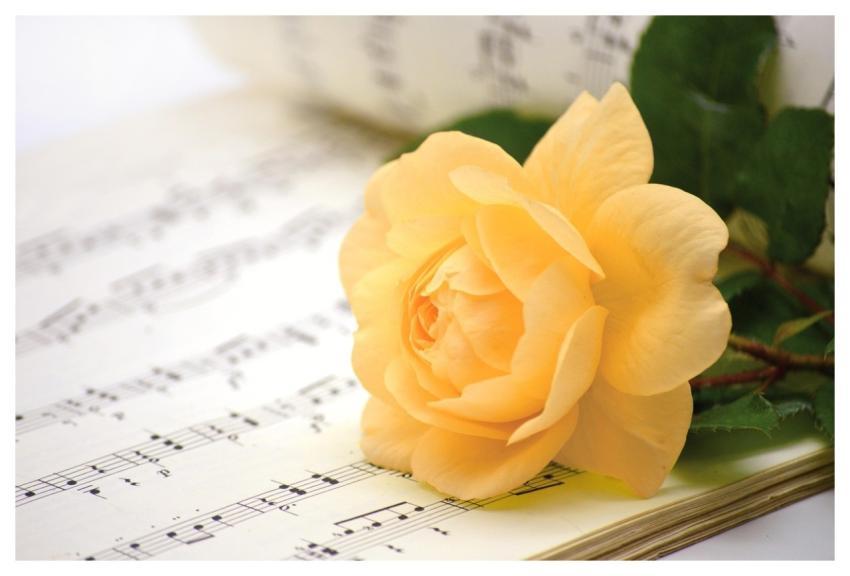 Flower Blossom Bloom Sheet Music