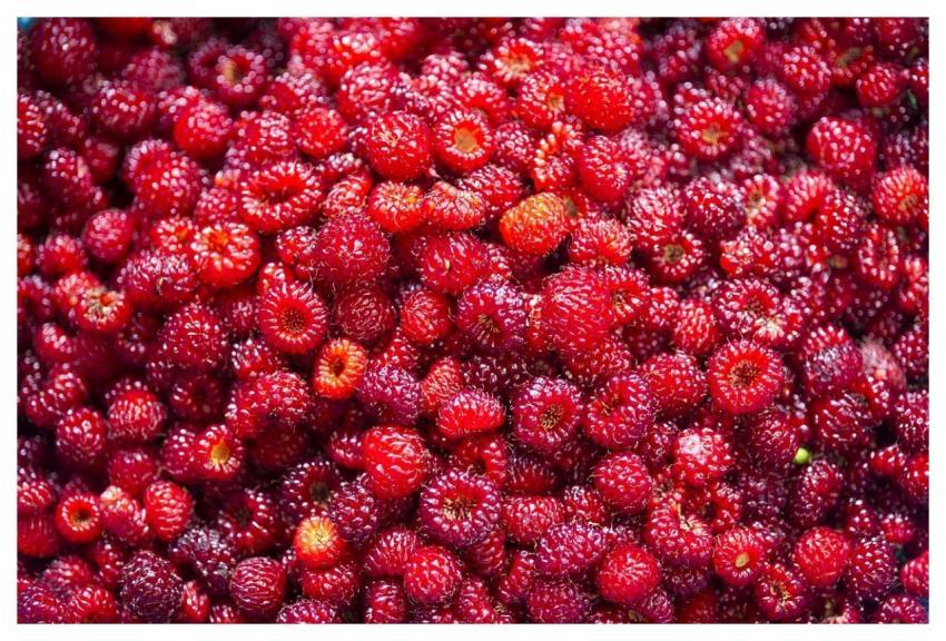 Strawberry Mountain Strawberry Nature Repair Molec