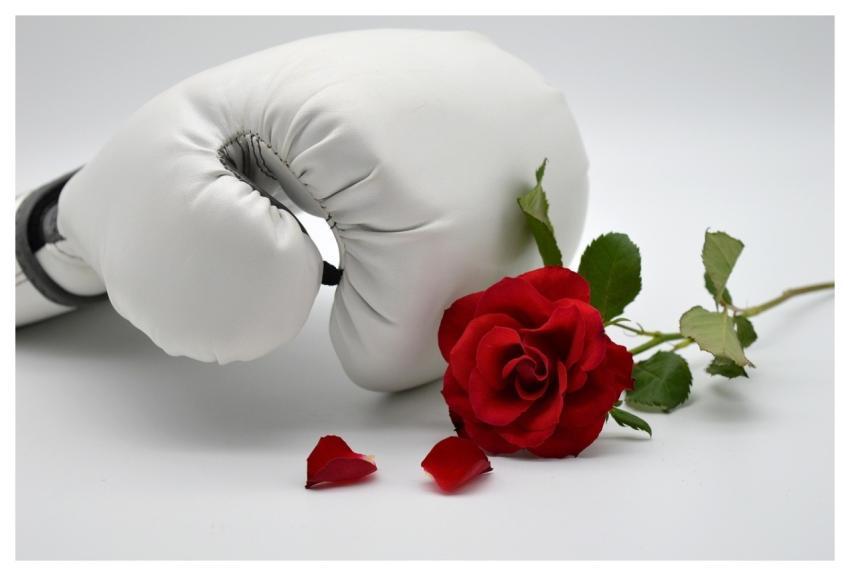 Boxing Glove Rose Red Rose Victory