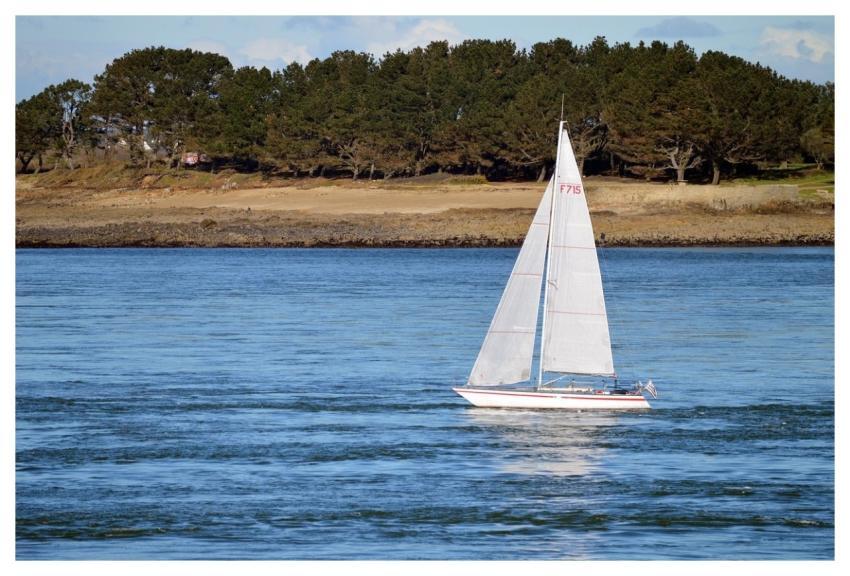 Boat Sea Sailboat Nature
