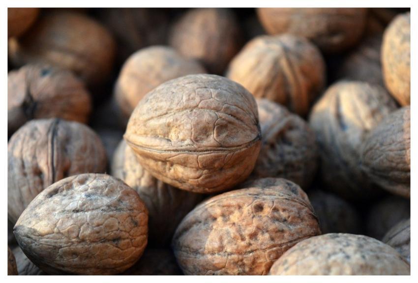 Walnuts Nuts Food Snack