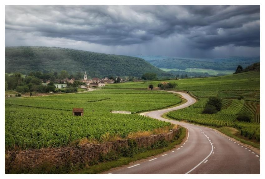 Road Vineyards Clouds Burgundy
