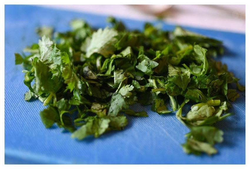 Cilantro Coriander Food Vitamins