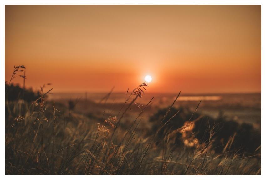Grass Sunset Field River