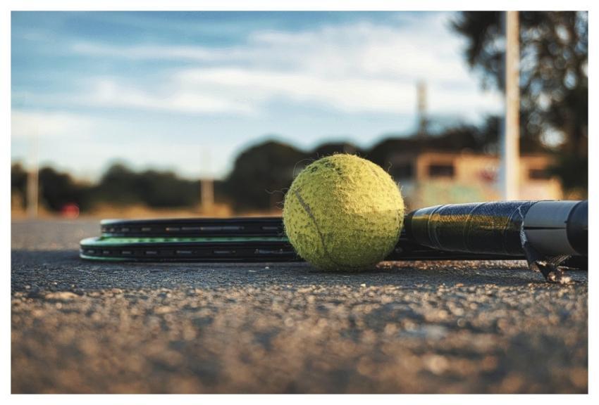 Tennis Ball Paddle Sport
