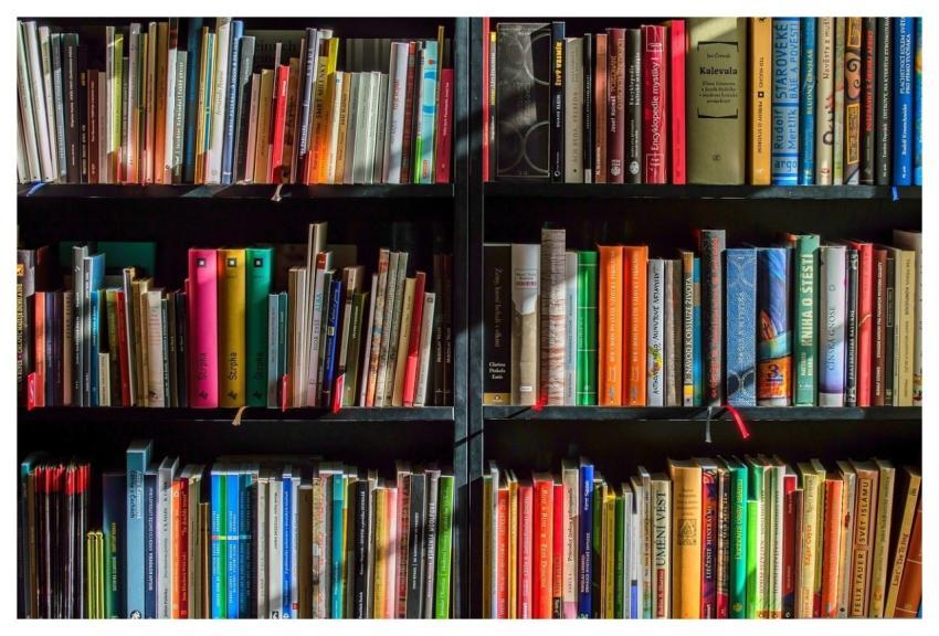 Christmas Background Books Bookstore Reading