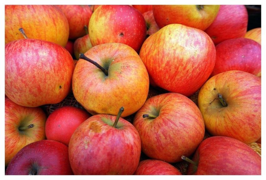 Apples Fruit Harvest Food