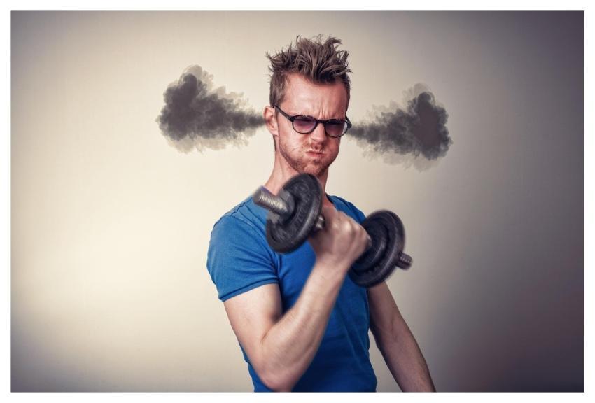 Training Workout Fitness Muscles