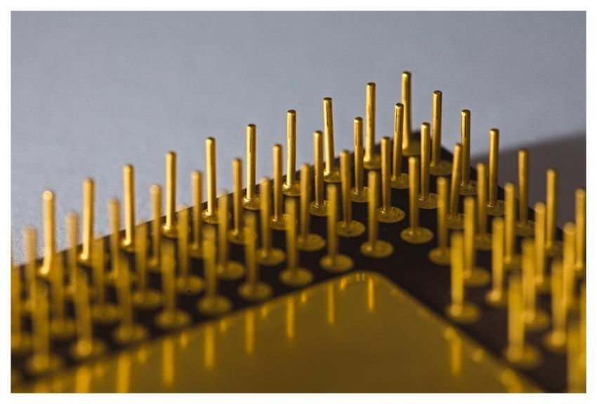 Microchip Chip Processor Integrated