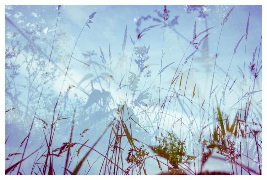 Abstract Abstract Photography Double-Bleached Tung