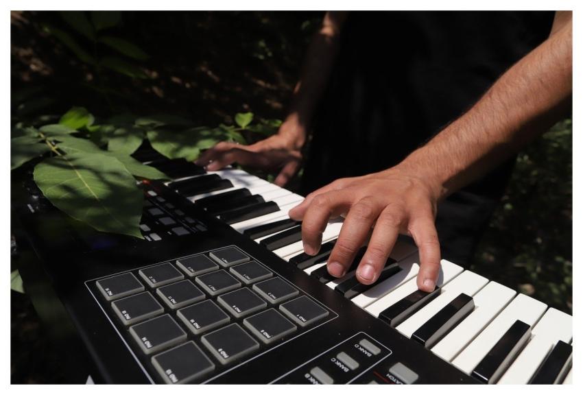 Musician Music Keyboardist Human