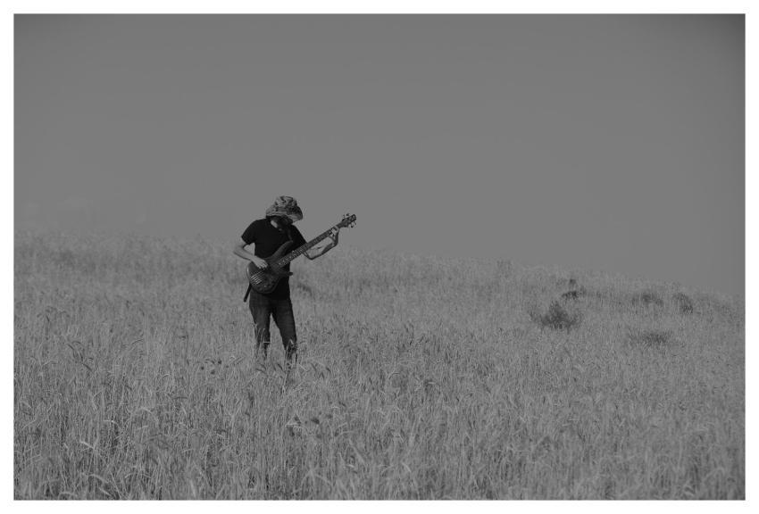 Musician Guitar Music Guitarist