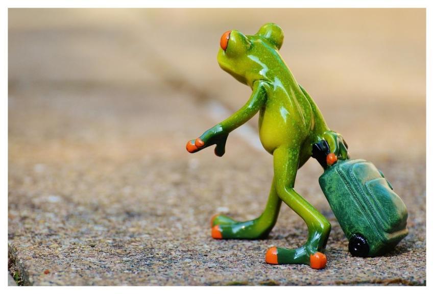 Frog Farewell Travel Suitcase