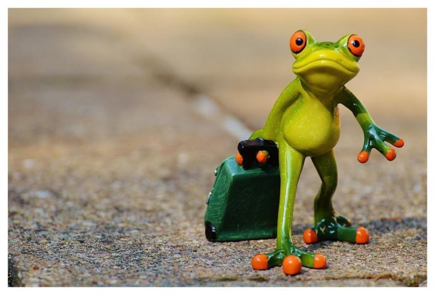 Frog Farewell Travel Suitcase