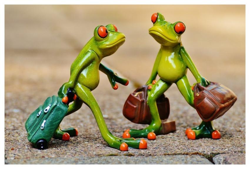 Frogs Fun Travel Suitcase