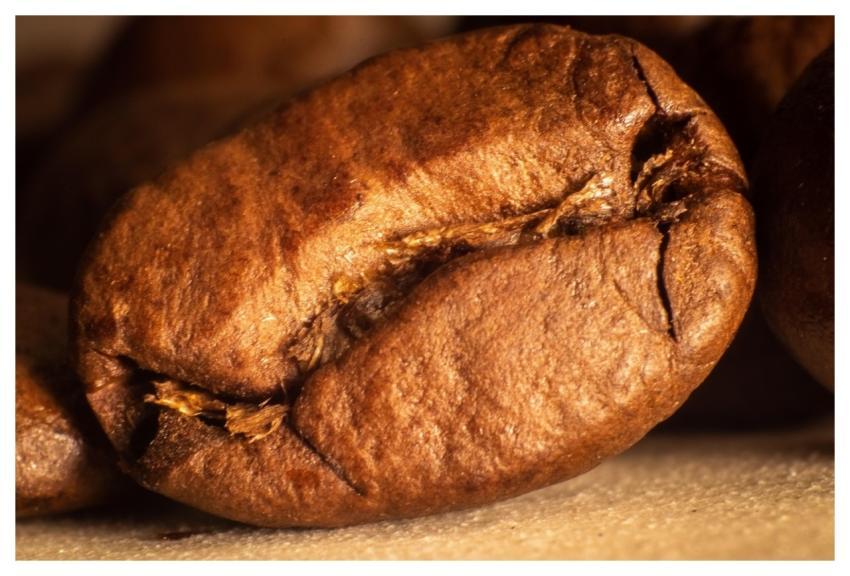 Coffee Lifestyle Enjoyment Randgruppe