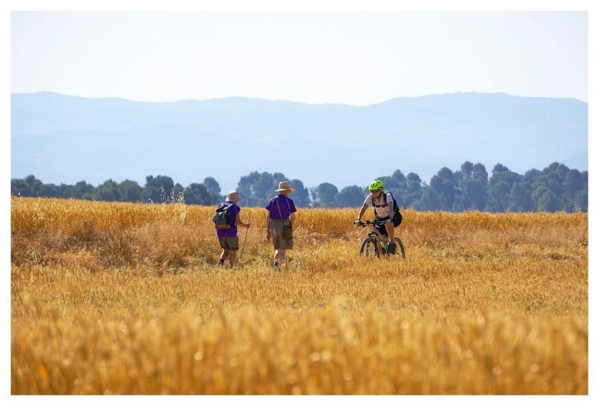 People Field Exercise Love