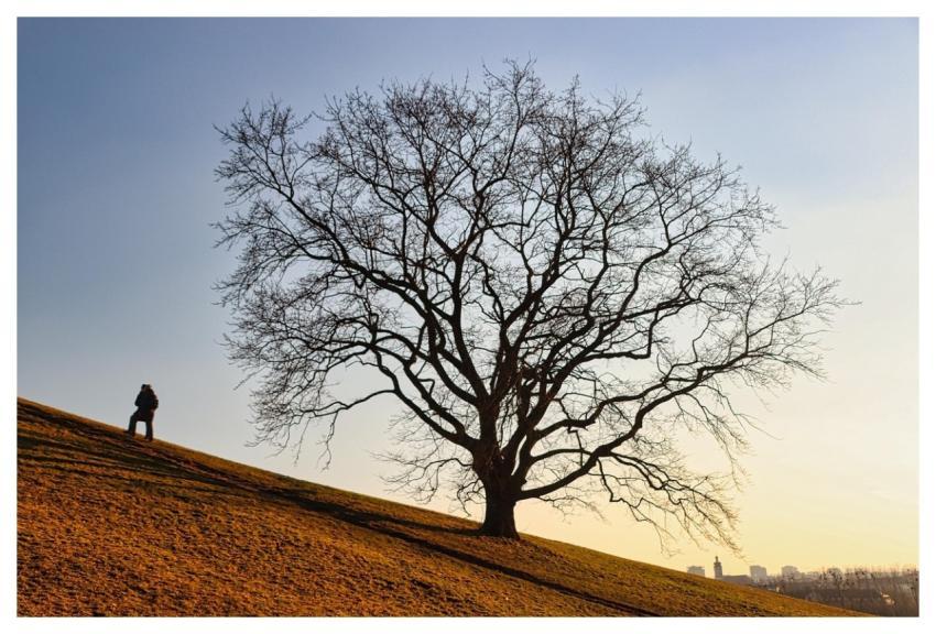 Tree Hill Nature Outdoors