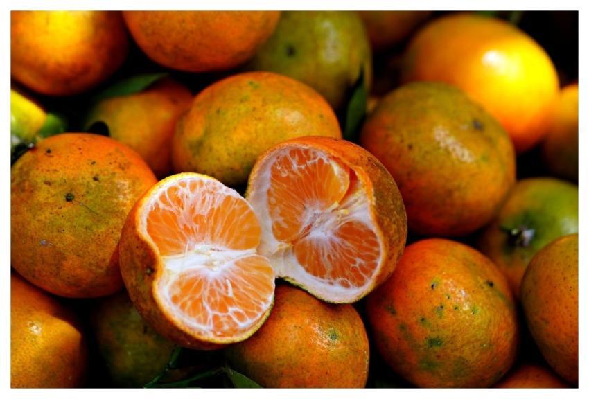 Fruit Tangerine Organic Citrus