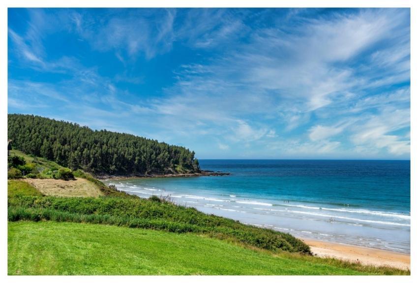 Nature Beach Outdoors Exploration