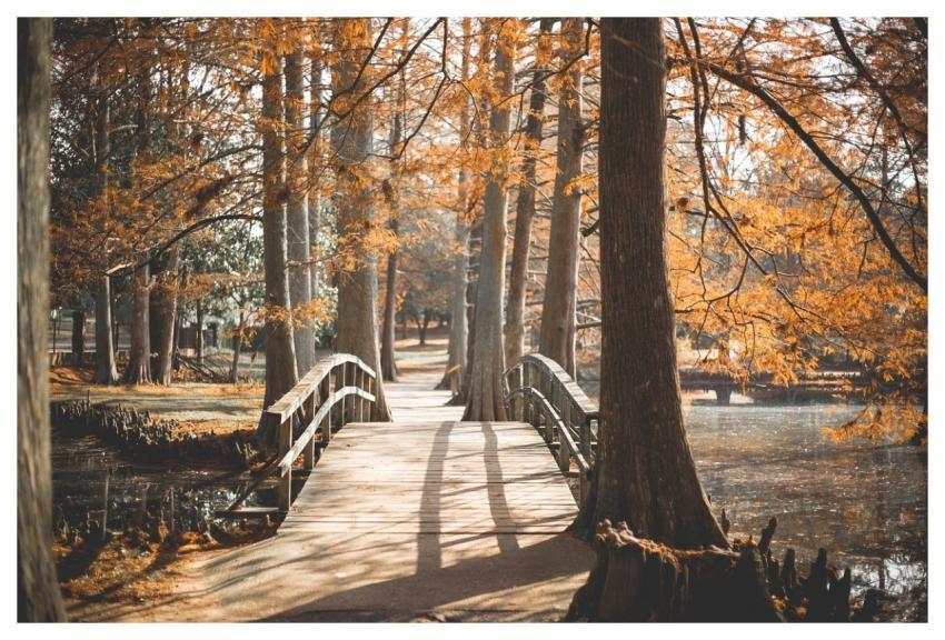 Bridge Park Outside Walk